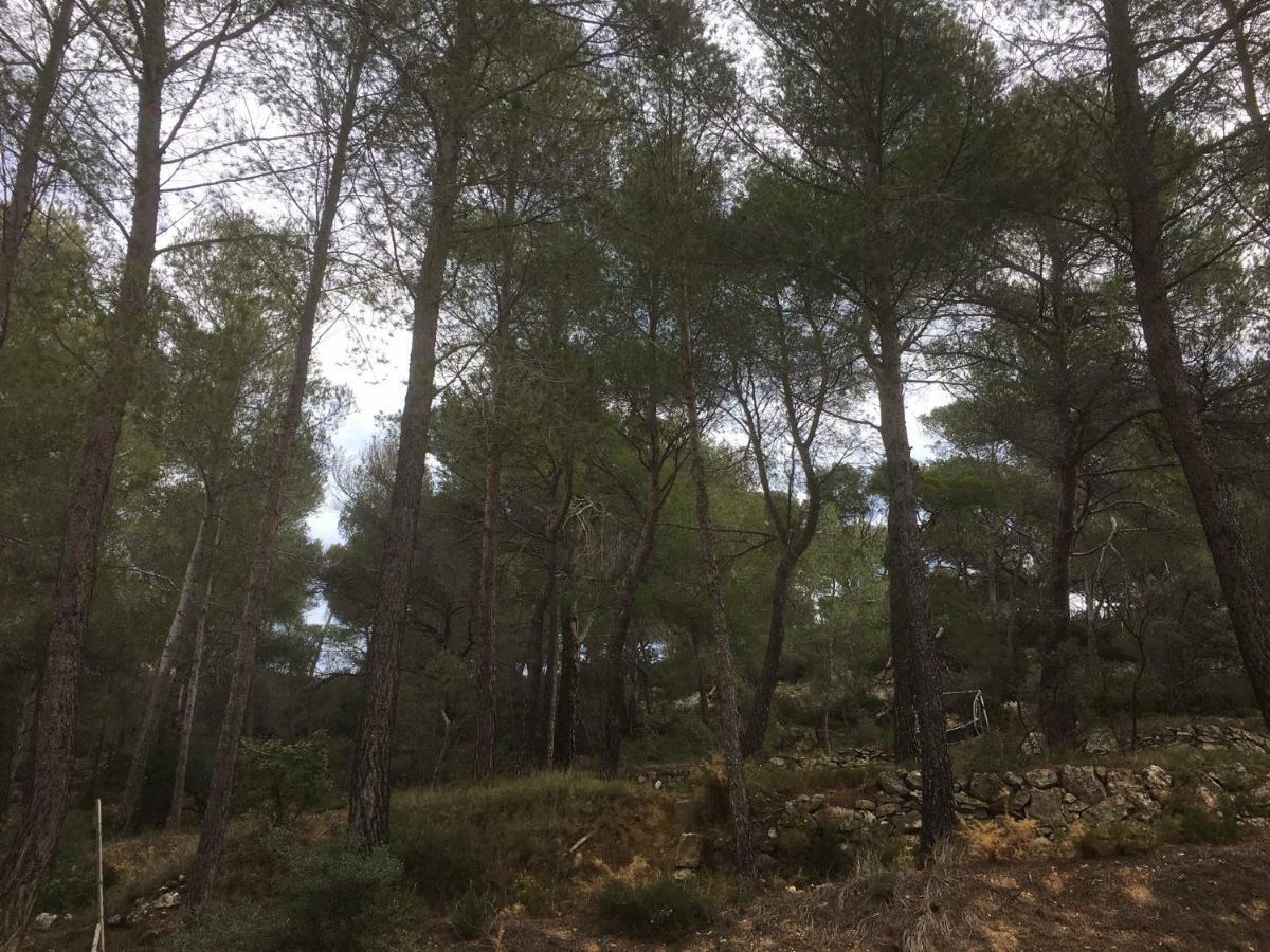 Holiday home Ecureuil Et Pinede *