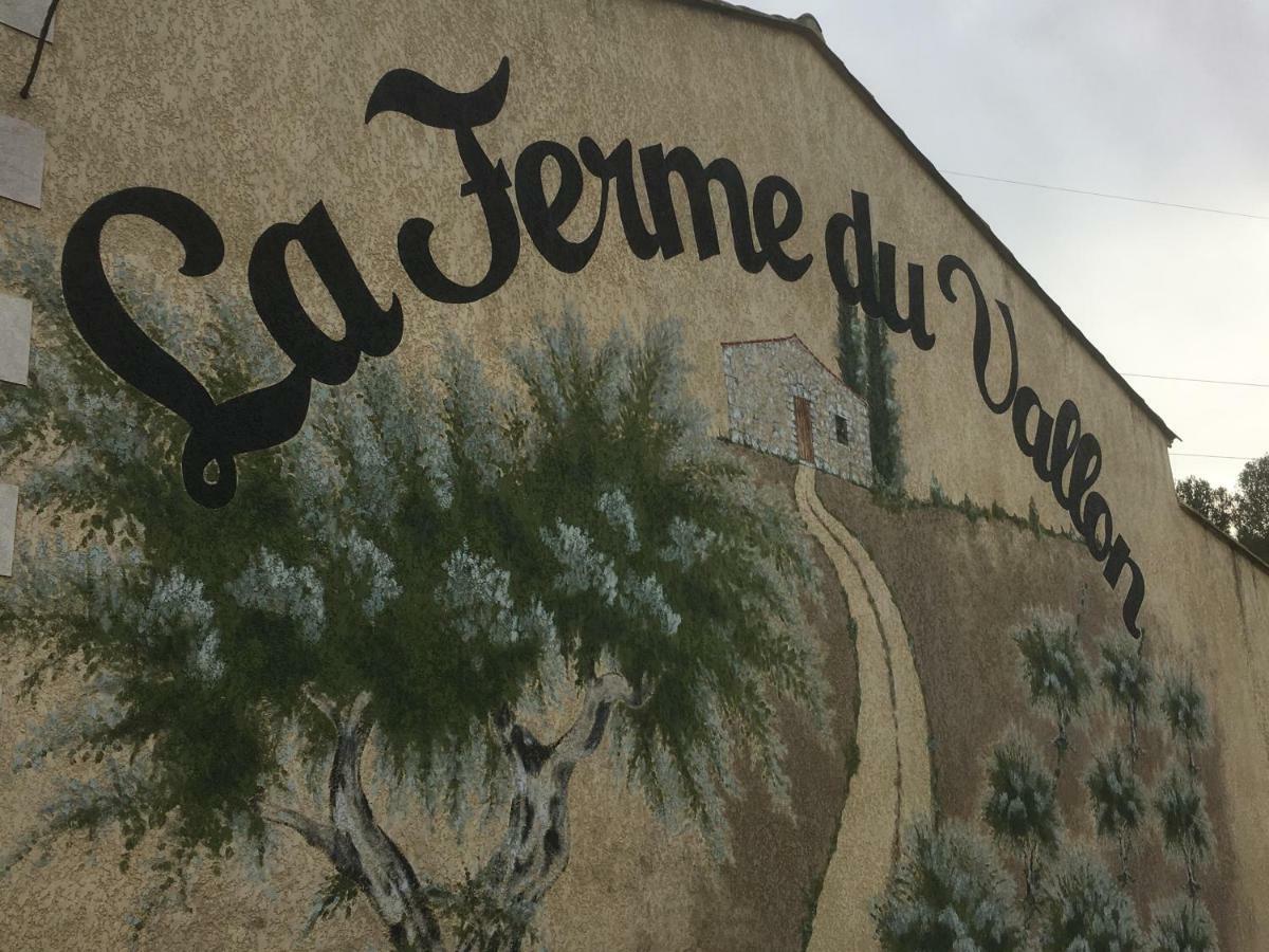 Ecureuil Et Pinède Velaux